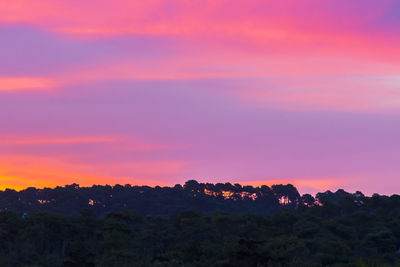 Silhouette trees against dramatic sky during sunset
