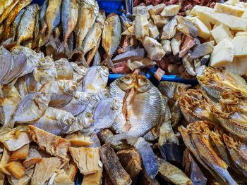 High angle view of fish for sale in market