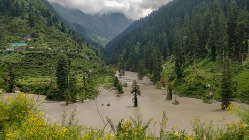 Scenic view of river amidst trees and mountains