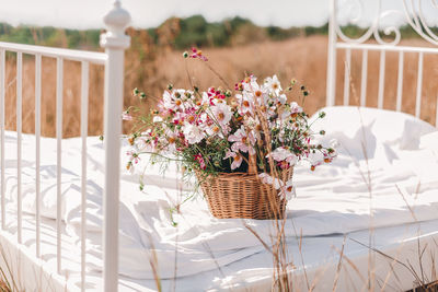 White flowers in basket on table
