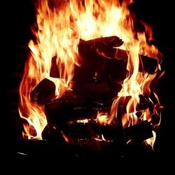 Close-up of bonfire at night