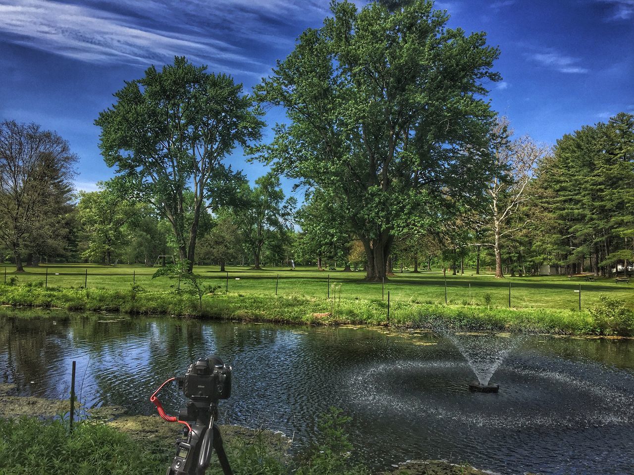 water, tree, growth, nature, outdoors, day, beauty in nature, reflection, grass, lake, green color, sky, real people, scenics, spraying, animal themes, mammal