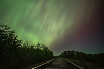 Low angle view of trees against sky at night