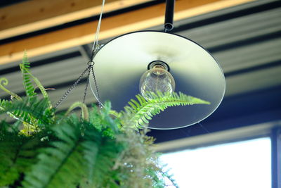 Close-up of insect on glass