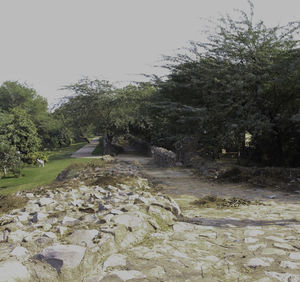Scenic view of landscape against clear sky