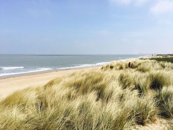 Scenic view of beach against sky