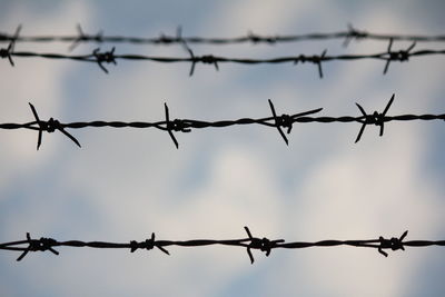 Barbed wire fence that separates the territory