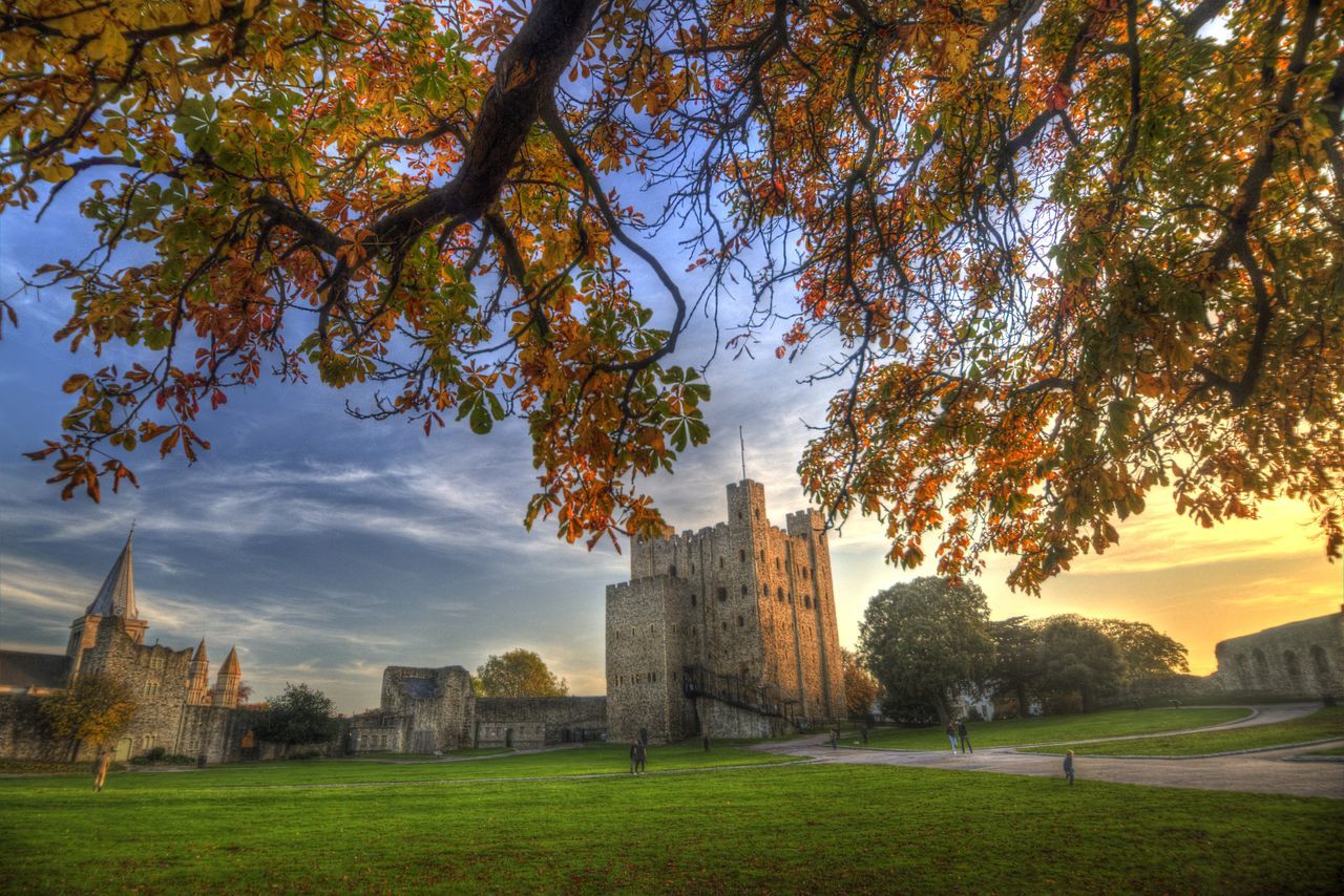 plant, tree, architecture, building exterior, built structure, history, sky, the past, nature, grass, travel destinations, building, no people, cloud - sky, outdoors, tower, religion, day, autumn, belief, change