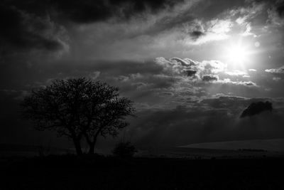 Silhouette trees on field against sky