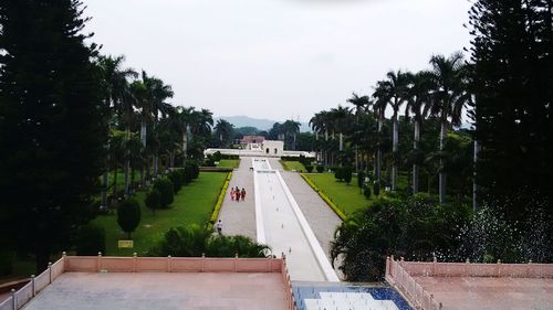 Panoramic shot of trees against sky