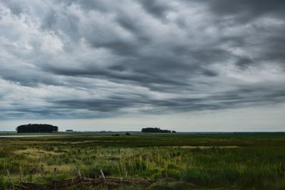 Scenic view of field against sky