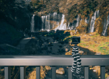 Close-up of text on railing against trees