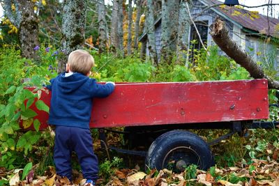 Rear view of boy standing by wheel barrow in yard