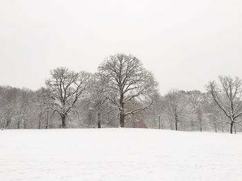 Bare trees on snow covered landscape against clear sky