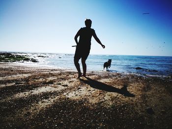 Silhouette man and dog at beach against clear sky