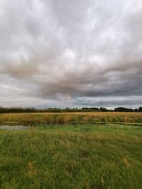 Scenic view of field against sky