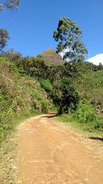 Dirt road amidst trees against clear blue sky