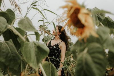 Young woman standing amidst sunflowers on field