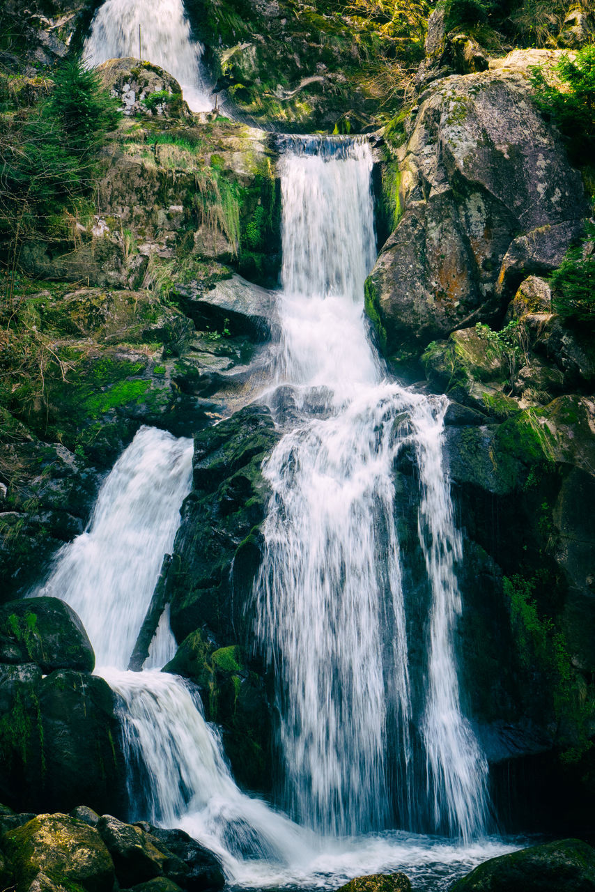 WATERFALL IN FOREST