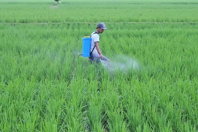 Farmer spraying pesticide on field