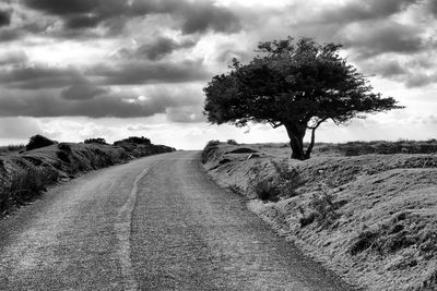 Road amidst trees on field against sky