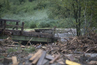 Surface level of abandoned truck on field in forest