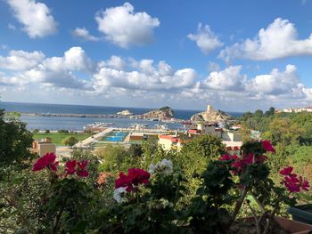 Scenic view of flowering plants and buildings against sky