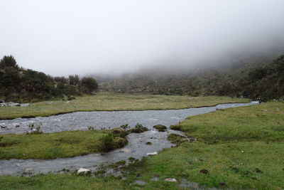 Scenic view of landscape against sky