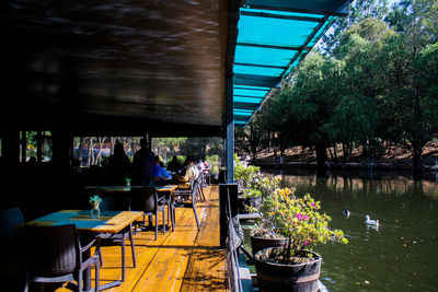 Potted plants on table at restaurant