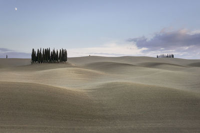 Scenic view of desert against sky