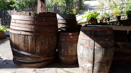 View of potted plants in yard