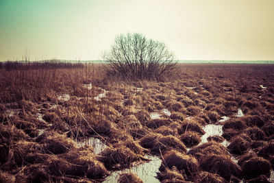 Scenic view of land against clear sky