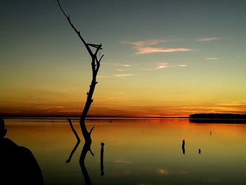 Silhouette tree by lake against sky during sunset