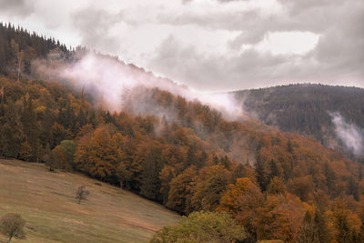 Scenic view of trees against sky during autumn