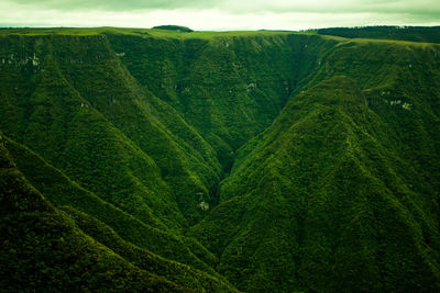 Scenic view of green landscape