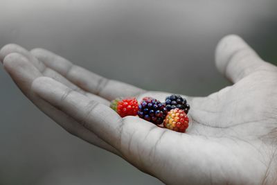 Midsection of person holding fruits