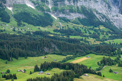 High angle view of trees and mountains