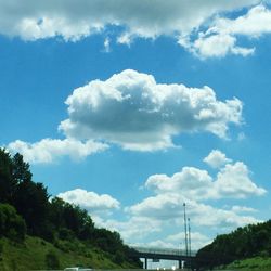 Trees against cloudy sky