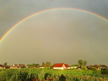 Scenic view of rainbow over field against sky