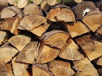 Full frame shot of logs in forest