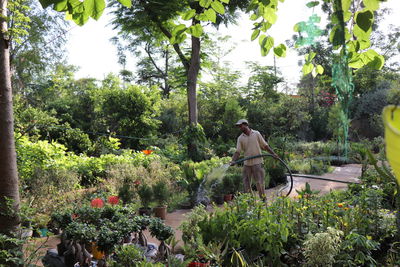 Rear view of people on flowering plants against trees