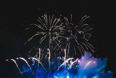 Low angle view of firework display against sky at night