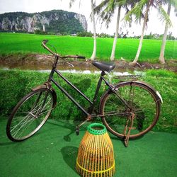 Bicycle parked by tree on field