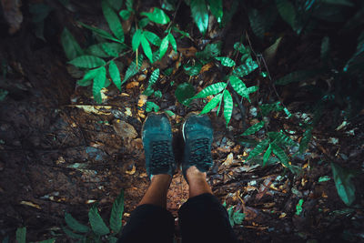 Low section of person standing by plants