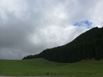 Scenic view of field against sky
