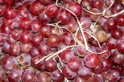 Full frame shot of grapes