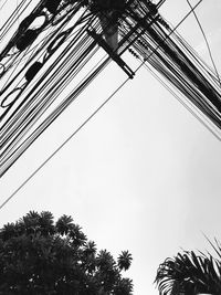 Low angle view of palm trees against sky