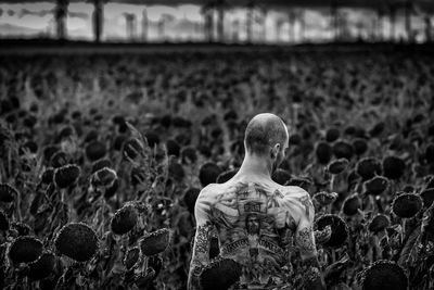 Rear view of shirtless man with tattoos standing at sunflower farm