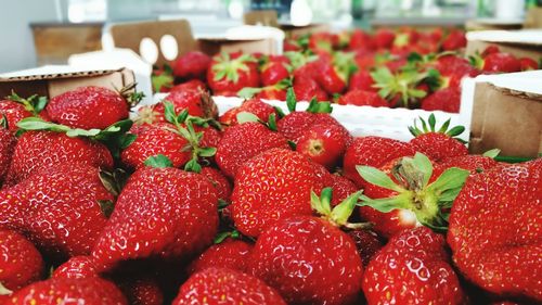 Close-up of strawberries