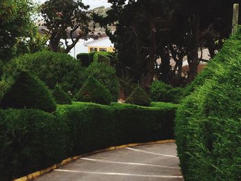 View of formal garden